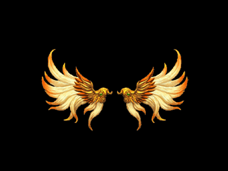 1.gif
