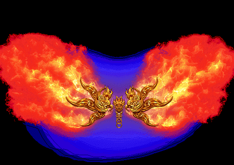 6.gif