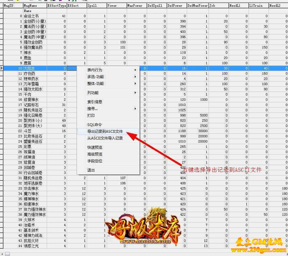 GOM引擎ACCESS数据库转换DBC数据库教程