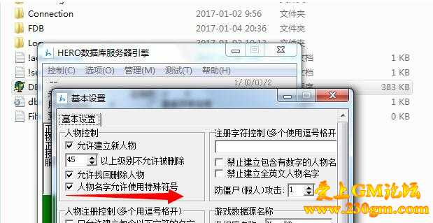 传奇服务端HERO引擎在哪里设置允许使用特殊符号？