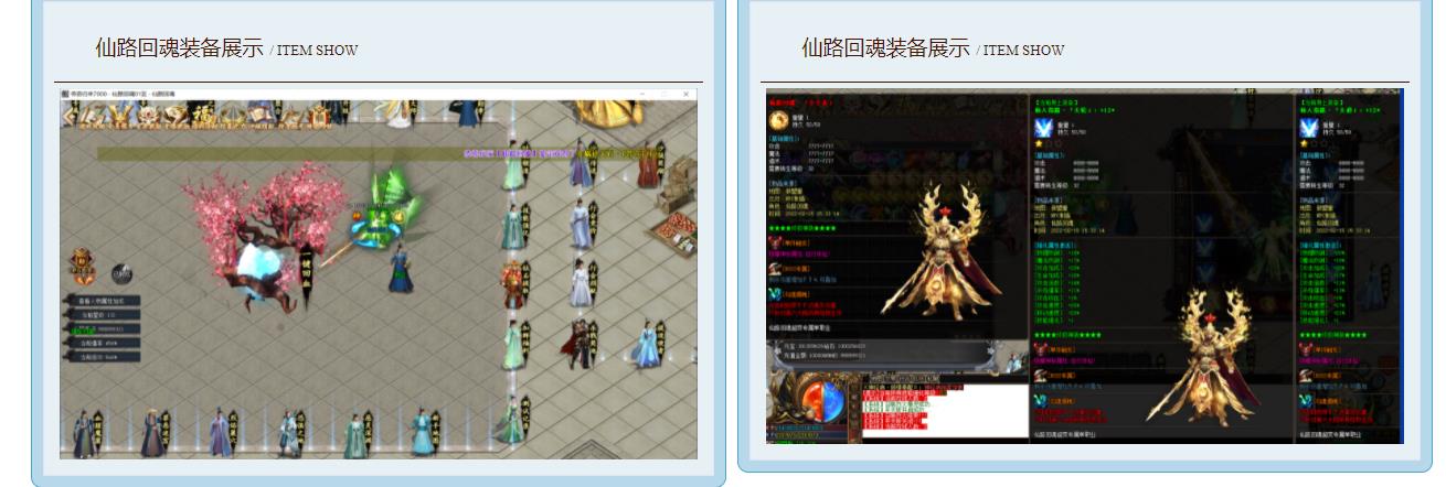 仙路回魂专属神器单职业版[GOM引擎]